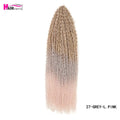 20 - 28 Inch Afro Kinky Curly Crochet Braids Hair - Beauty Accessories Now