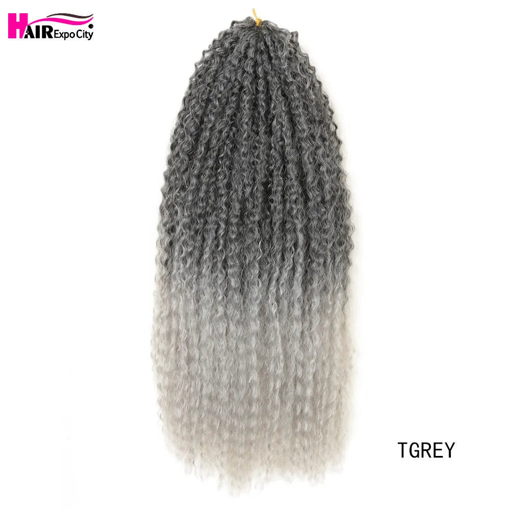 20 - 28 Inch Afro Kinky Curly Crochet Braids Hair - Beauty Accessories Now