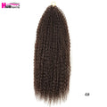 20 - 28 Inch Afro Kinky Curly Crochet Braids Hair - Beauty Accessories Now