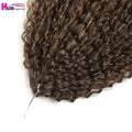 20 - 28 Inch Afro Kinky Curly Crochet Braids Hair - Beauty Accessories Now