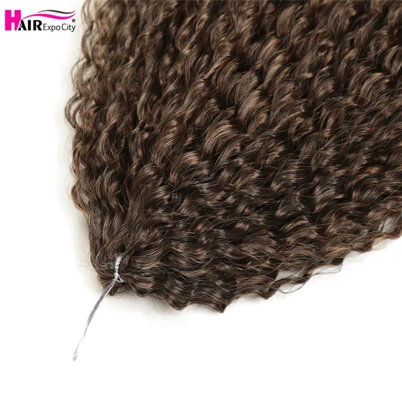 20 - 28 Inch Afro Kinky Curly Crochet Braids Hair - Beauty Accessories Now