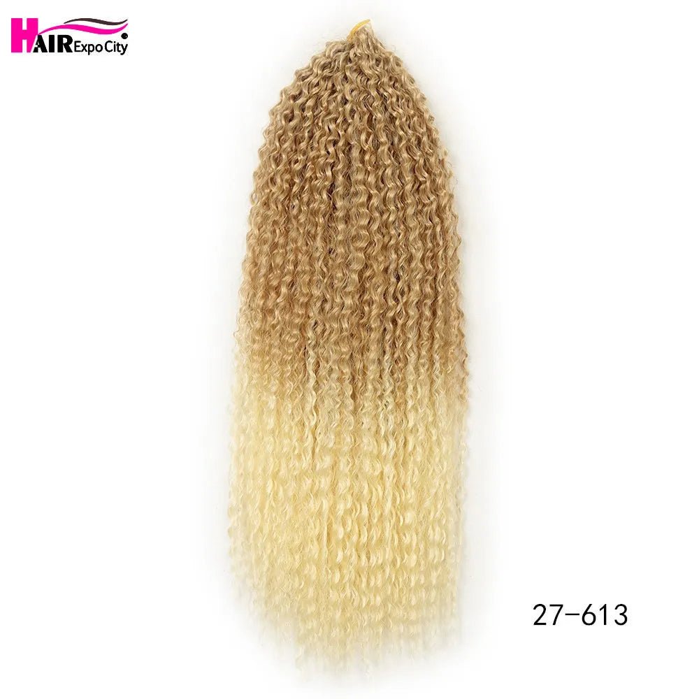 20 - 28 Inch Afro Kinky Curly Crochet Braids Hair - Beauty Accessories Now