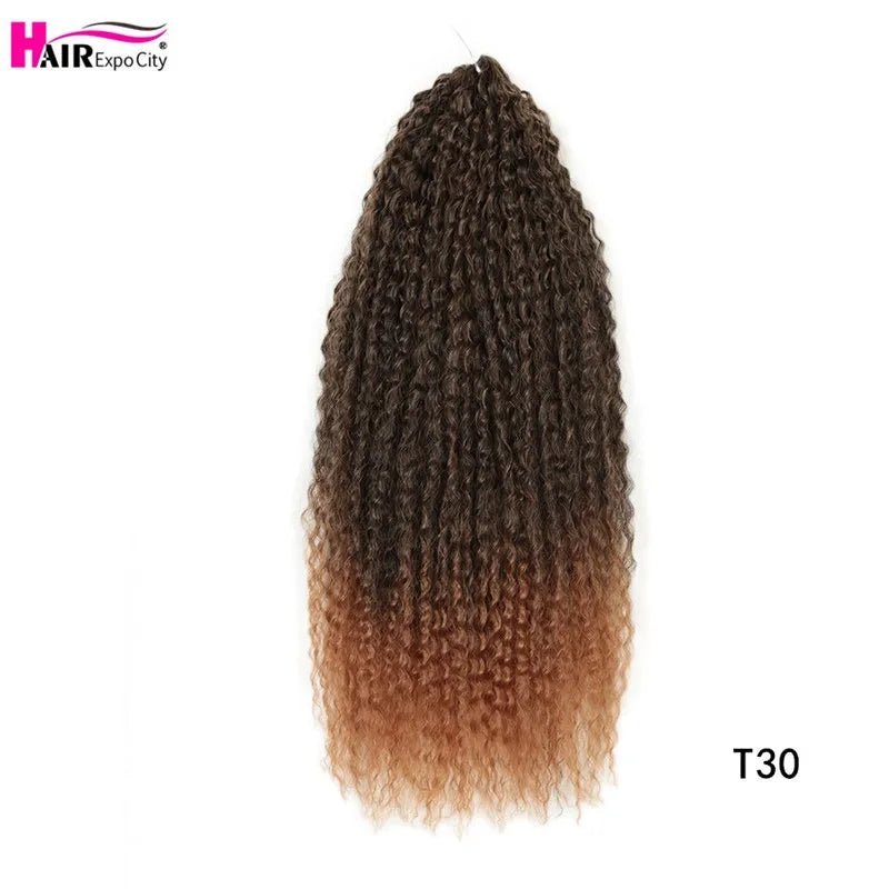 20 - 28 Inch Afro Kinky Curly Crochet Braids Hair - Beauty Accessories Now