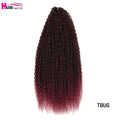 20 - 28 Inch Afro Kinky Curly Crochet Braids Hair - Beauty Accessories Now