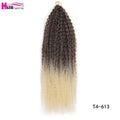 20 - 28 Inch Afro Kinky Curly Crochet Braids Hair - Beauty Accessories Now