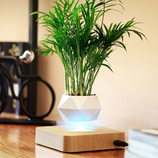 Levitating Magnetic Floating Plant Pot – 360° Rotating Air Bonsai Planter