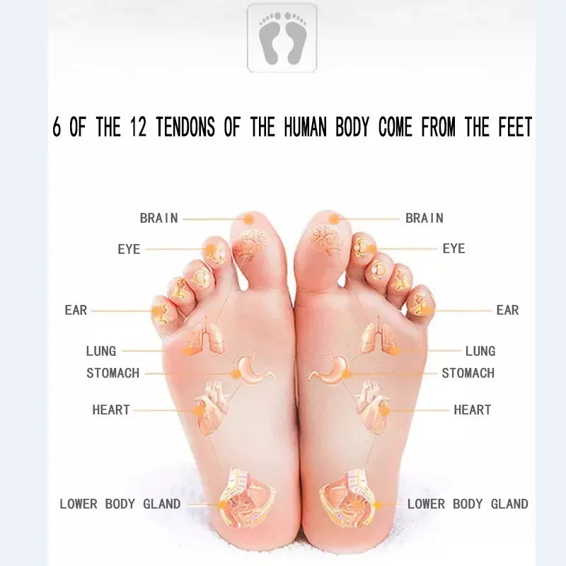 EMS Foot Massager PadSpecifications:
Item Type: Massage &amp; RelaxationMaterial: Composite MaterialApplication: FootChoice: YesBeauty Accessories NowBeauty Accessories NowEMS Foot Massager Pad